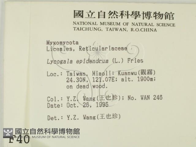 登錄號:F0004062藏品圖，第2張