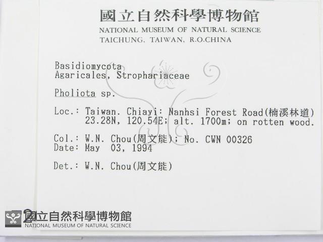 登錄號:F0002062藏品圖，第2張