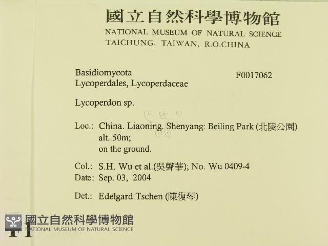 登錄號:F0017062藏品圖，第2張