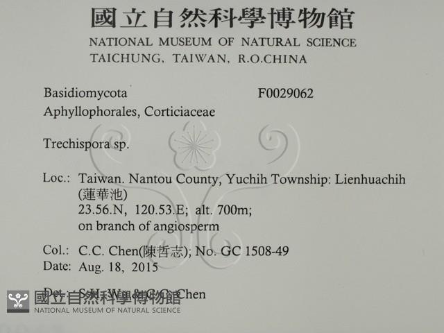 登錄號:F0029062藏品圖，第2張