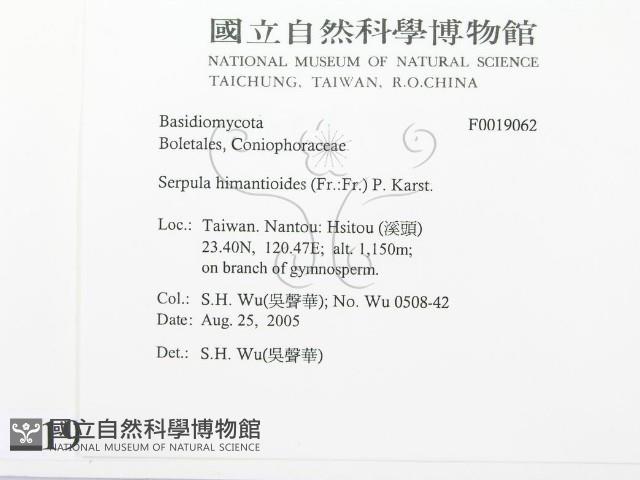 登錄號:F0019062藏品圖，第2張