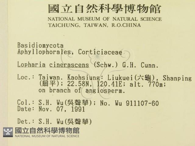 登錄號:F0003062藏品圖，第2張