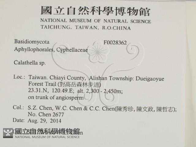 登錄號:F0028362藏品圖，第2張