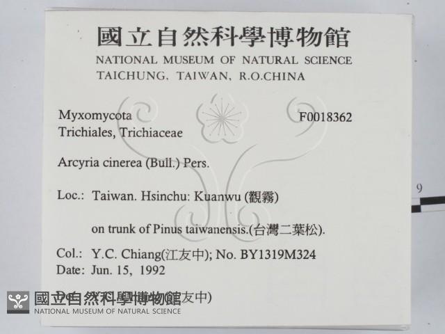 登錄號:F0018362藏品圖，第2張
