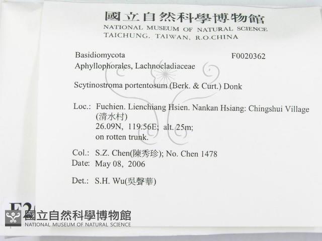 登錄號:F0020362藏品圖，第2張