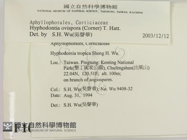 登錄號:F0010362藏品圖，第2張