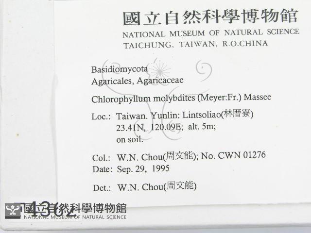 登錄號:F0004362藏品圖，第2張