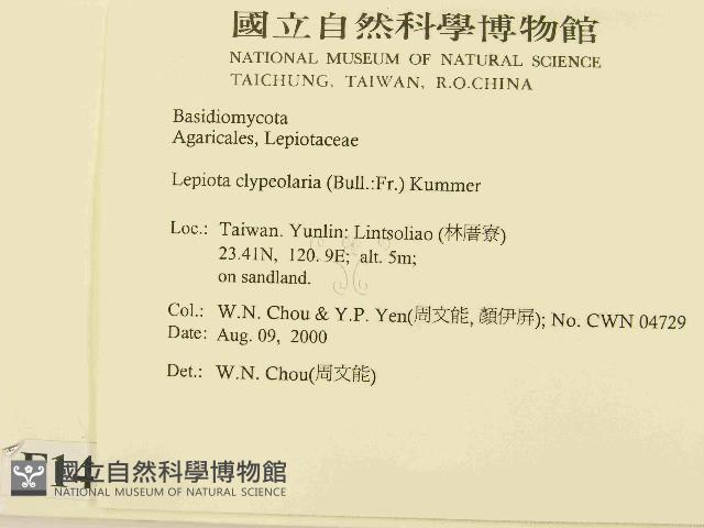 登錄號:F0014362藏品圖，第2張