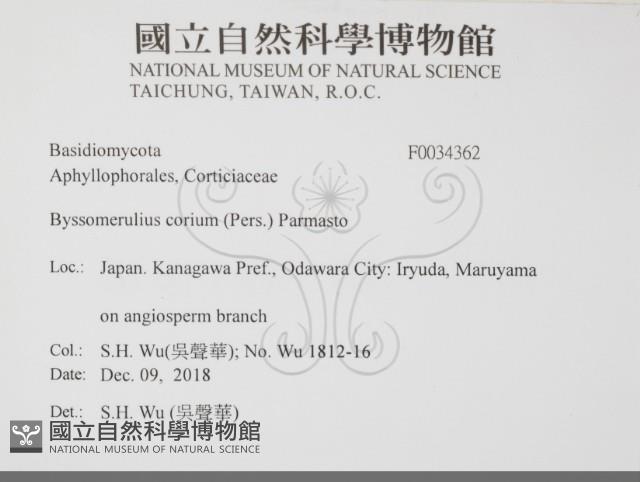 登錄號:F0034362藏品圖，第2張