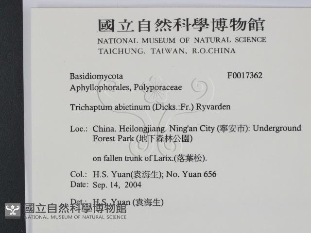 登錄號:F0017362藏品圖，第2張