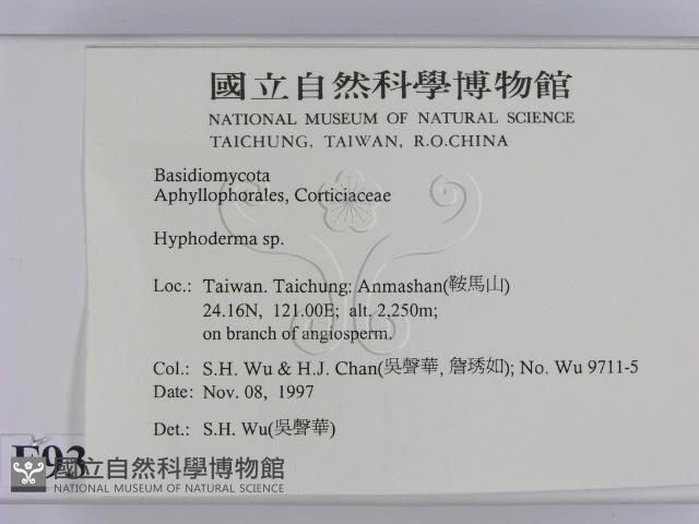 絲皮菌屬藏品圖，第2張