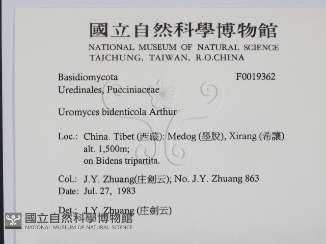 登錄號:F0019362藏品圖，第2張