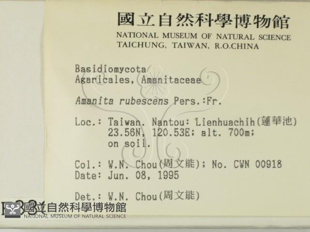 登錄號:F0003362藏品圖，第2張