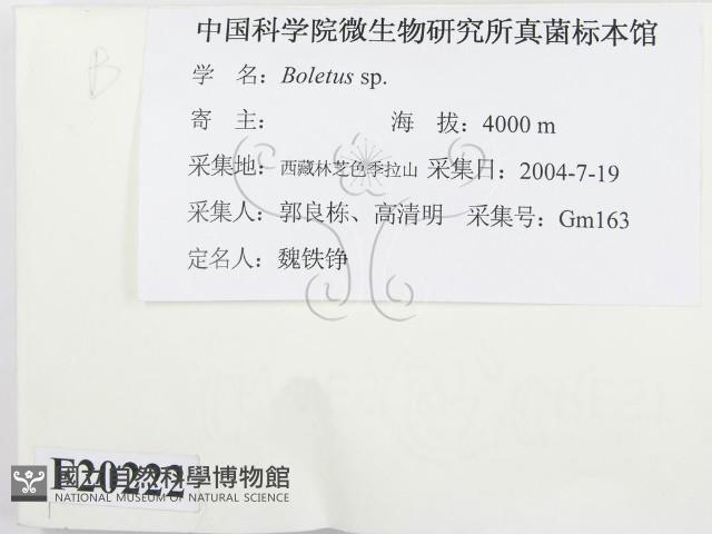 登錄號:F0020222藏品圖，第2張