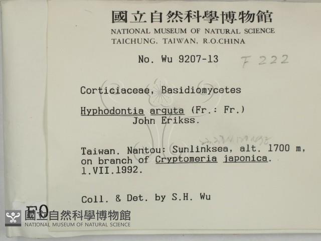 登錄號:F0000222藏品圖，第2張