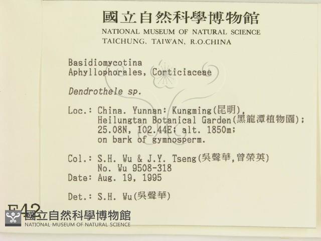 登錄號:F0004222藏品圖，第2張