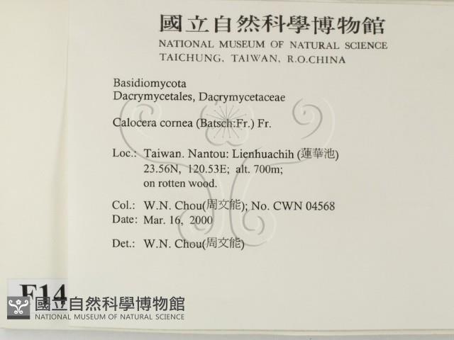 登錄號:F0014222藏品圖，第2張