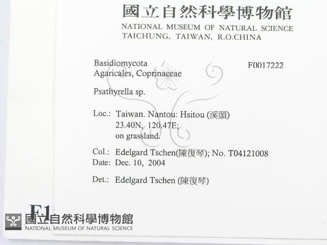 登錄號:F0017222藏品圖，第2張