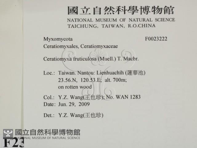 登錄號:F0023222藏品圖，第2張