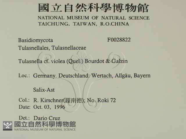 登錄號:F0028822藏品圖，第2張