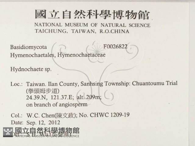 登錄號:F0026822藏品圖，第2張