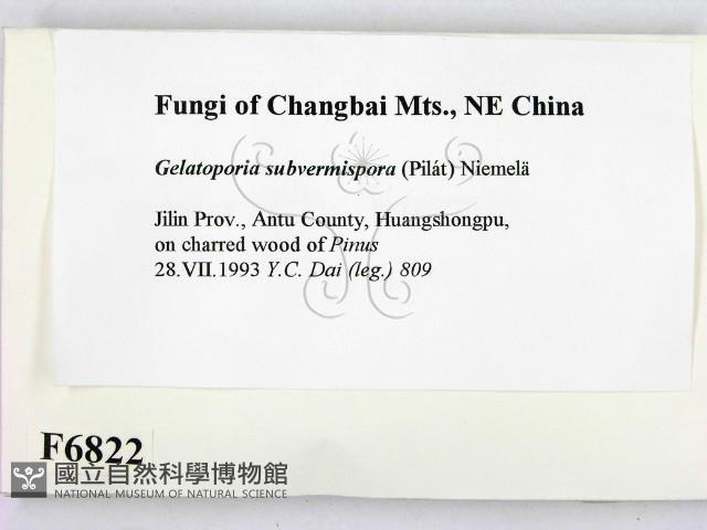 登錄號:F0006822藏品圖，第2張