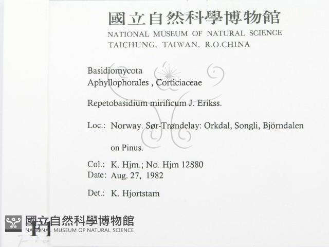 登錄號:F0016822藏品圖，第2張