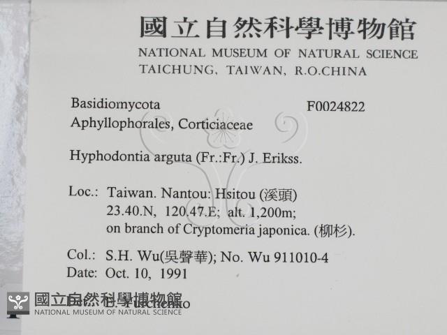 登錄號:F0024822藏品圖，第2張
