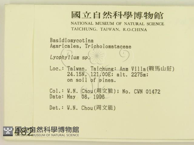 登錄號:F0004822藏品圖，第2張