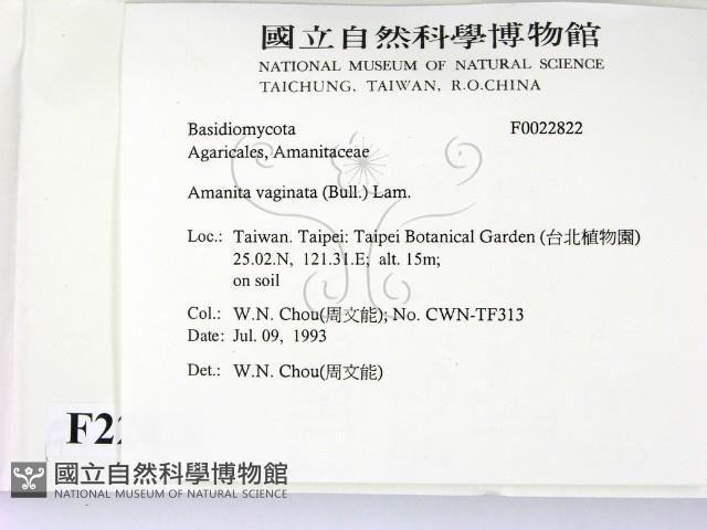 登錄號:F0022822藏品圖，第2張