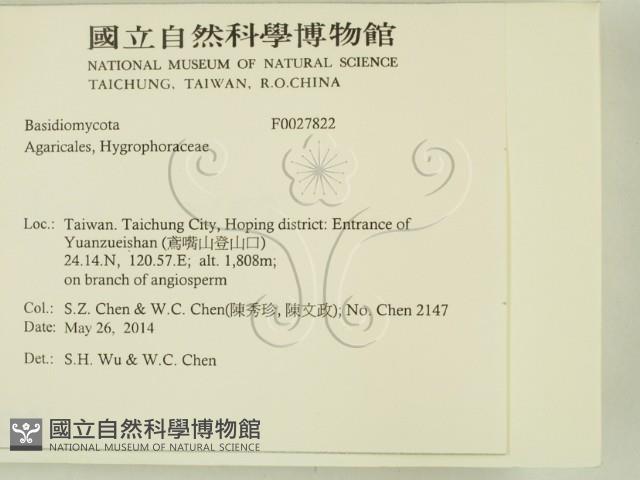 登錄號:F0027822藏品圖，第2張