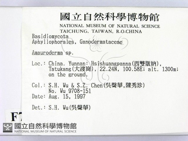 假芝屬藏品圖，第2張