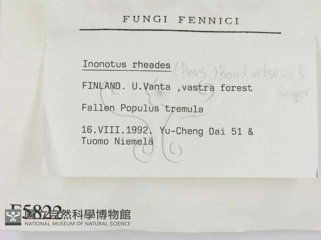 登錄號:F0005822藏品圖，第2張