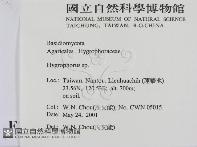 登錄號:F0015822藏品圖，第2張