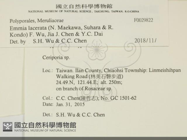 登錄號:F0029822藏品圖，第2張