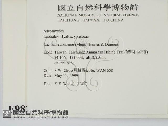 登錄號:F0009822藏品圖，第2張