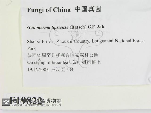 登錄號:F0019822藏品圖，第2張