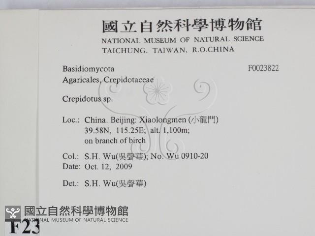 登錄號:F0023822藏品圖，第2張