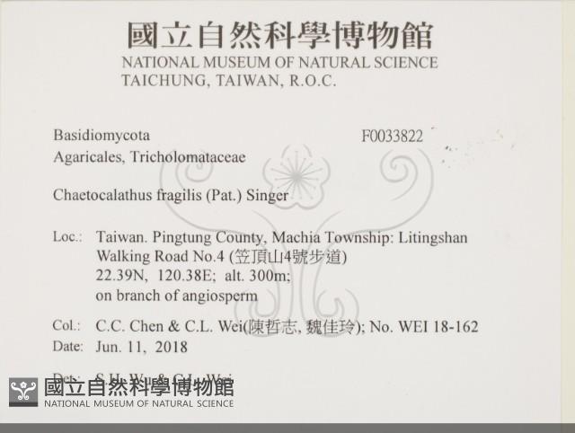 登錄號:F0033822藏品圖，第2張