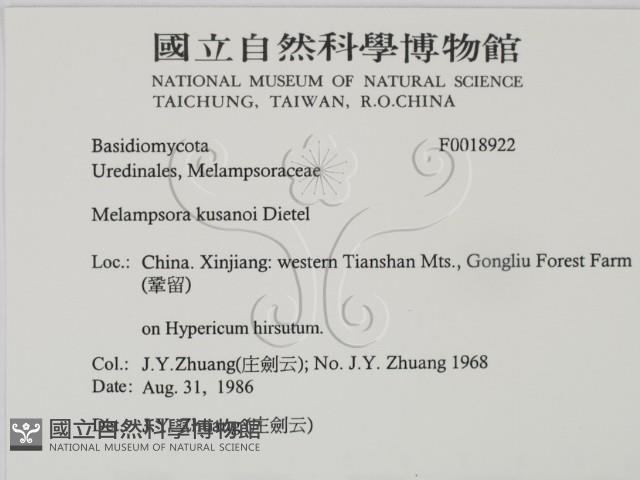 登錄號:F0018922藏品圖，第2張