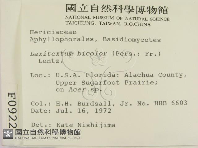 登錄號:F0000922藏品圖，第2張