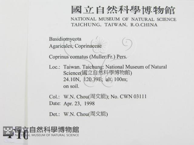 登錄號:F0010922藏品圖，第2張
