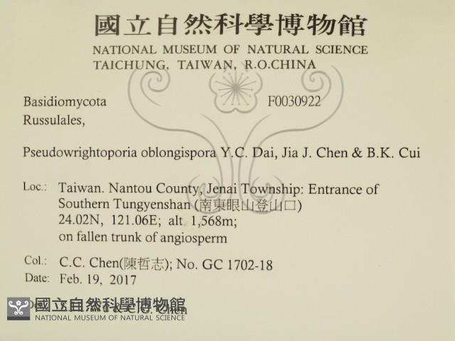 登錄號:F0030922藏品圖，第2張