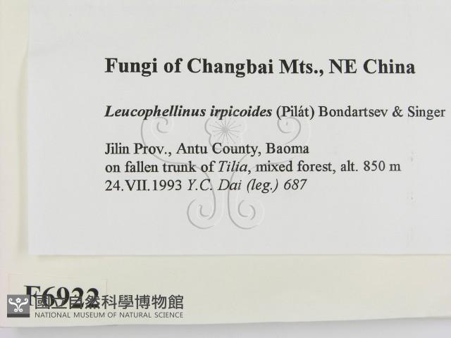 登錄號:F0006922藏品圖，第2張