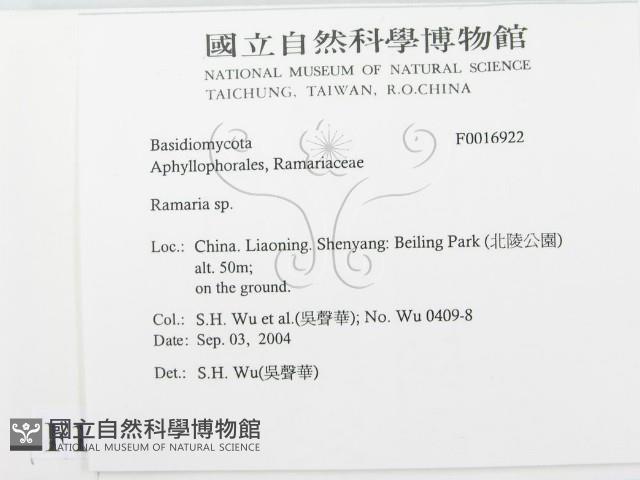 登錄號:F0016922藏品圖，第2張