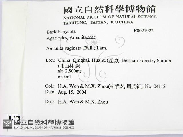 登錄號:F0021922藏品圖，第2張