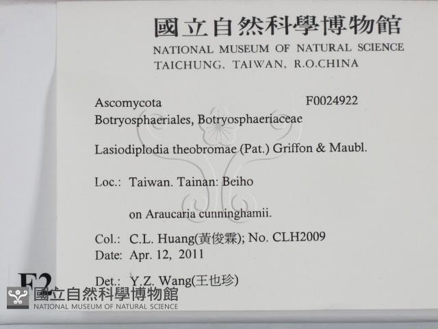 登錄號:F0024922藏品圖，第2張