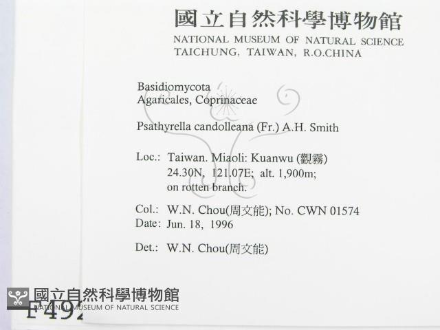 登錄號:F0004922藏品圖，第2張