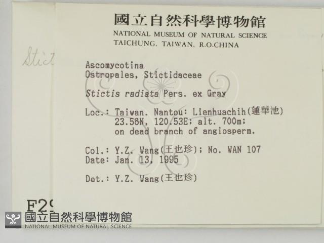 登錄號:F0002922藏品圖，第2張