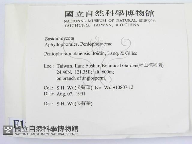 登錄號:F0012922藏品圖，第2張